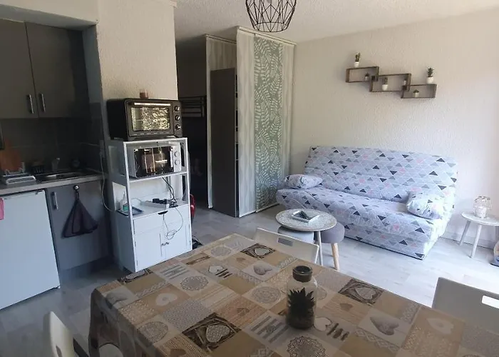 Studio 4 à 5 personnes Saint Jean Montclar